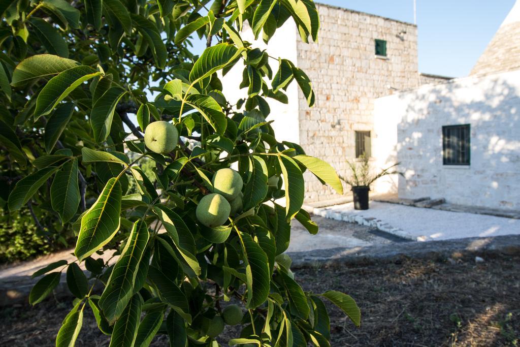 Maison Milleottocento Cisternino Zewnętrze zdjęcie