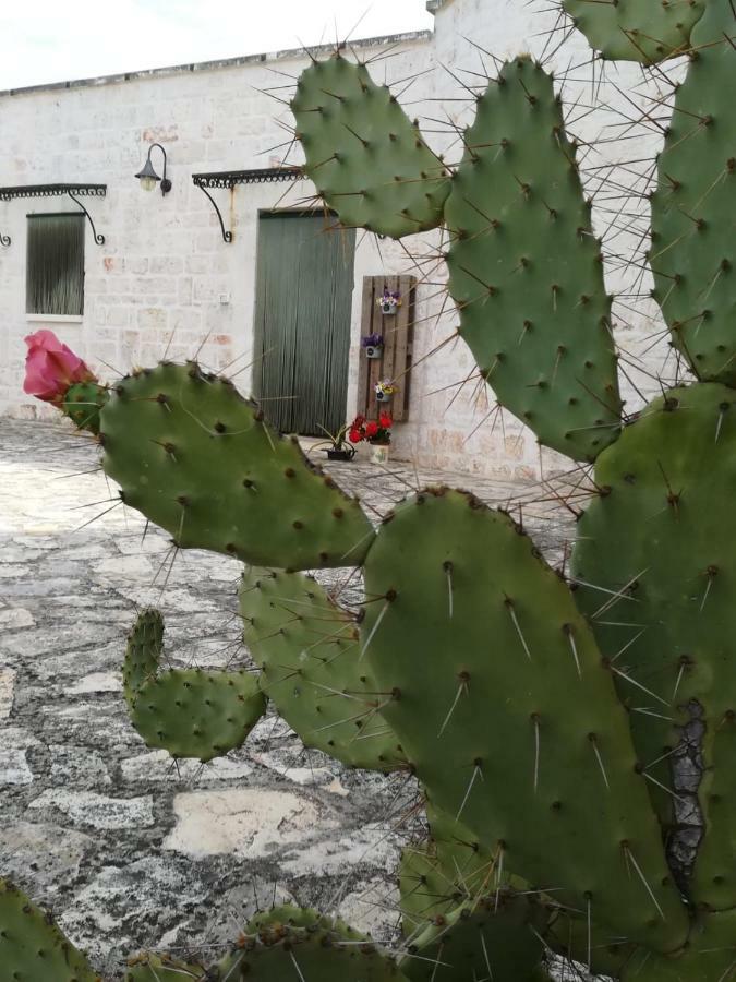 Maison Milleottocento Cisternino Zewnętrze zdjęcie