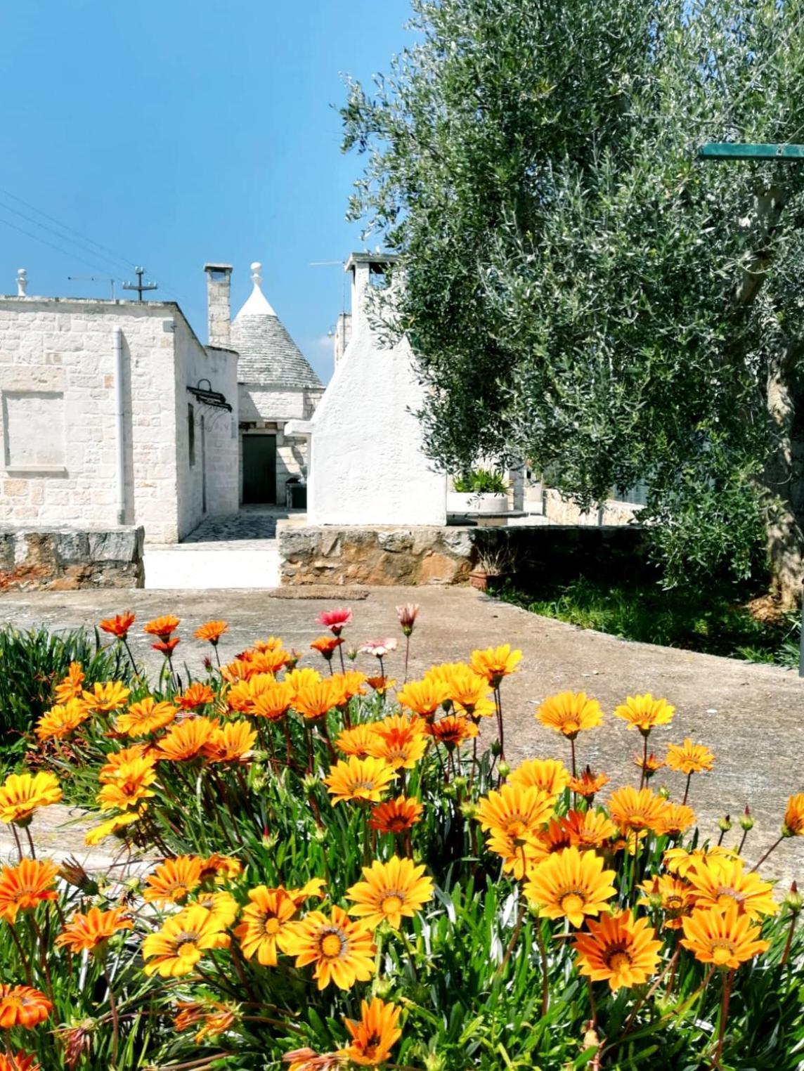 Maison Milleottocento Cisternino Zewnętrze zdjęcie